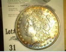 1900 P Lovely toned Uncirculated Morgan Silver Dollar.