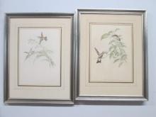 Two J. Gould Hummingbird Lithographs