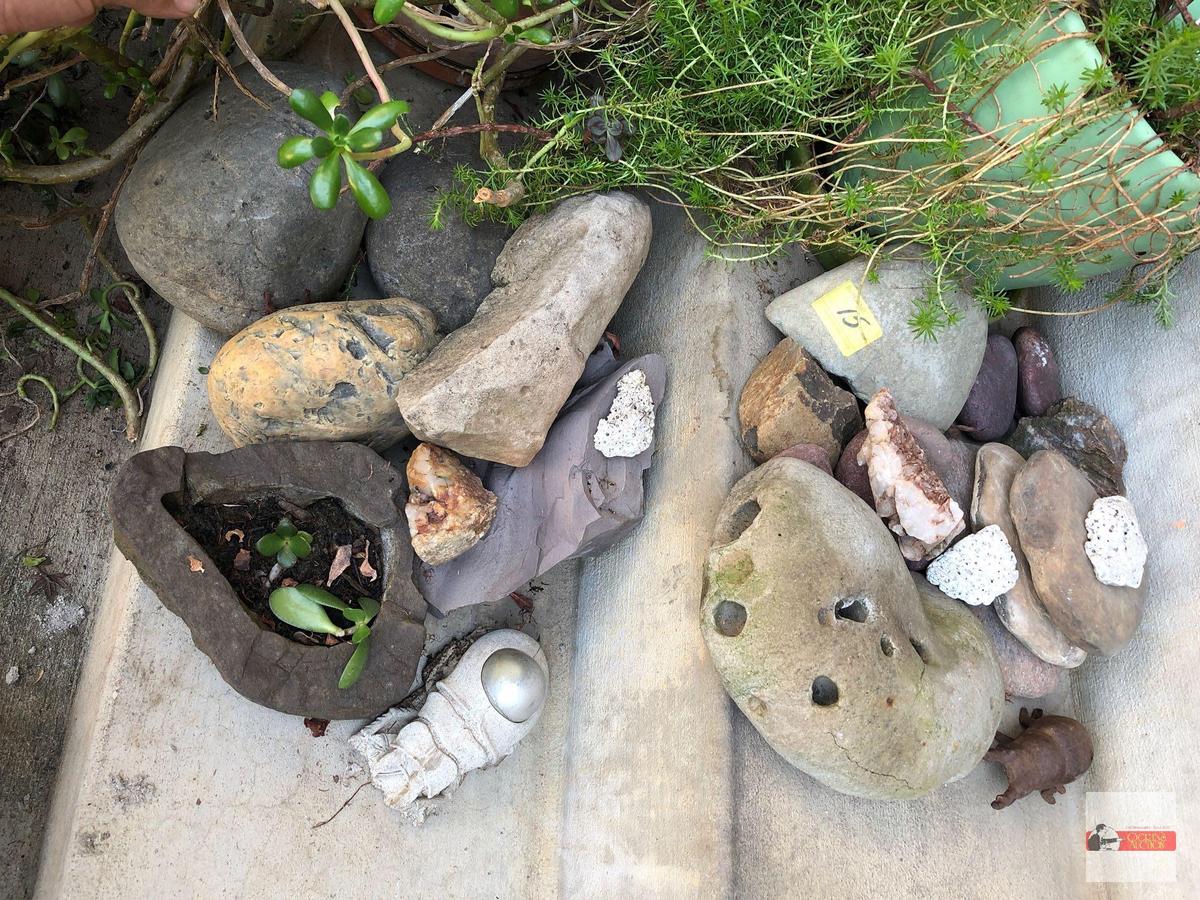 Yard & Garden - Decor rocks, 1 with succulent