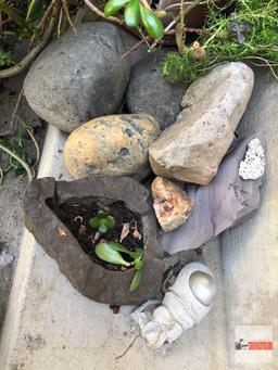 Yard & Garden - Decor rocks, 1 with succulent