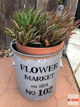 Yard & Garden - terra cotta potted cactus in flower market tin 12"hx10"w, double bale handled (19"h)