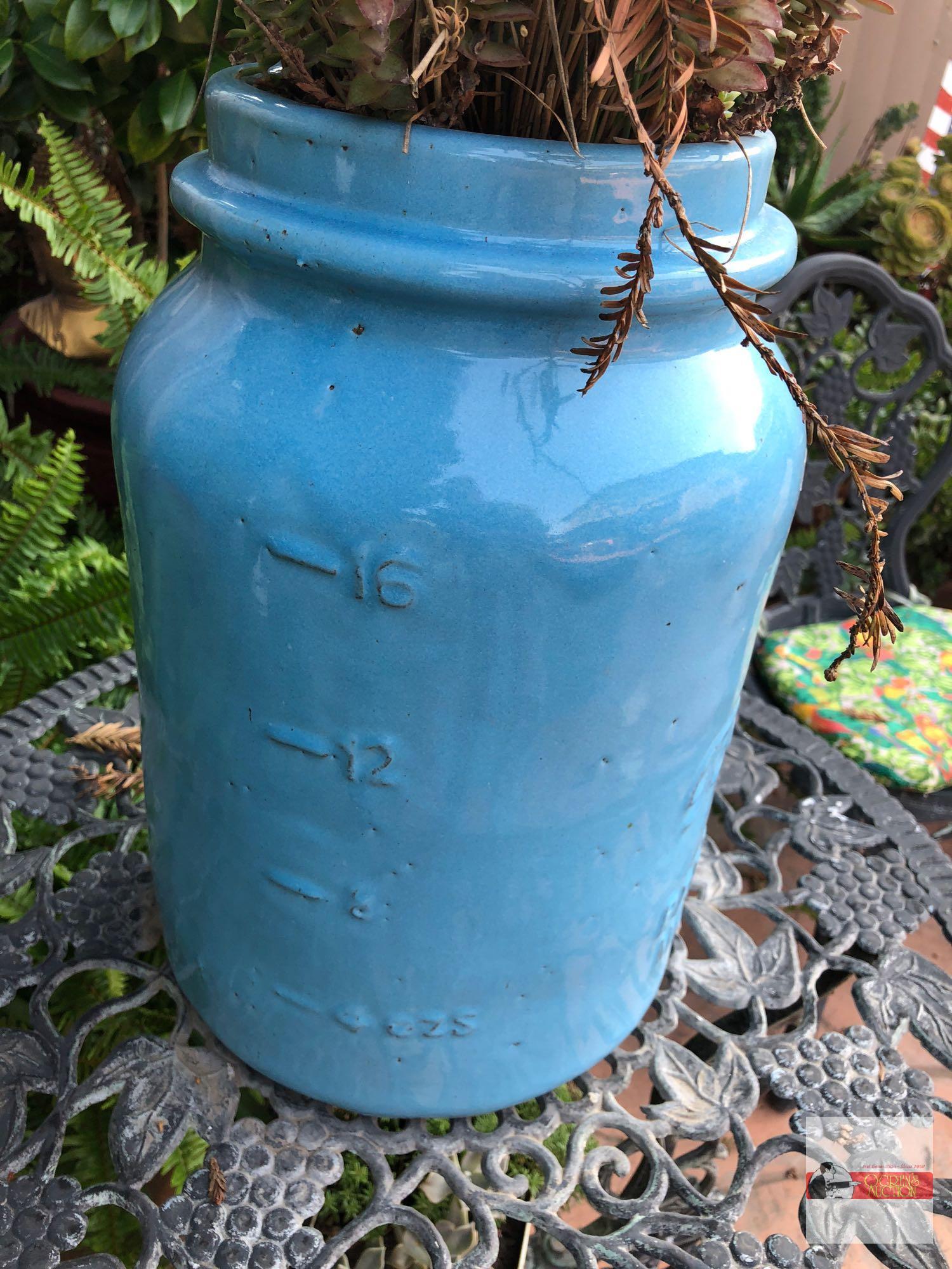Yard & Garden - Lg. blue Perfect Mason pottery crock, potted wheat grass, 16.5"hx11"w (43"h)