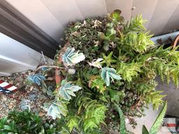 Yard & Garden - 2 terra cotta planter pots 12"hx15"w with succulents and 7"hx8"w