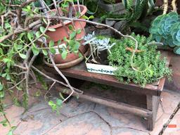 Yard & Garden - plastic planter pot 11"hx8"w (21"h) & tin with succulents on sm. wooden bench 21.5"