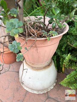 Yard & Garden - 2 planter pots, plastic 12.5"h (36"h) w/succulents & white decor pot 10"hx15"w