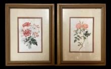 (2) Framed and Double Matted Floral Prints