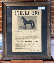 Original Ad "Stella Boy" (1908)