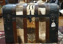 Old Circa 1910-20's Steamer Trunk Antique with African Skins Decor