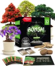 Bonsai Tree Kit, Grow Your Own: Premium 4 Bonsai Trees Starter Kit, $37.99 MSRP