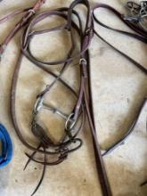 bridle and halter