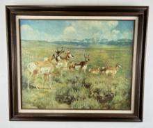 Carl Rungius Giclee on Canvas Antelope