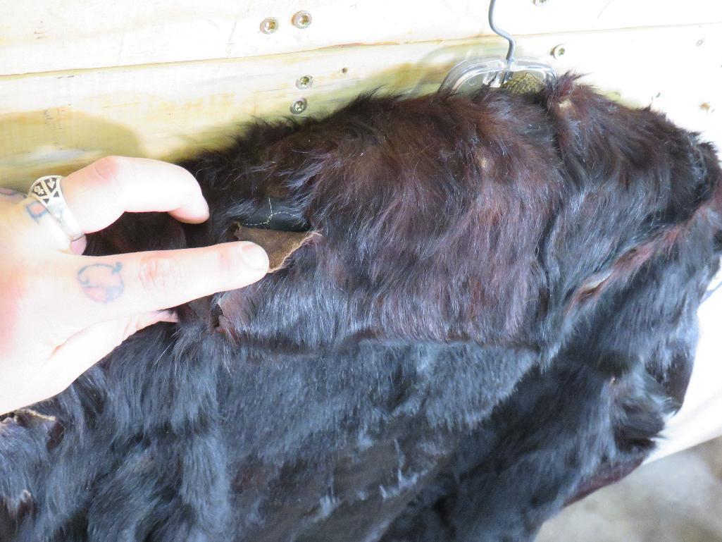 Very Old/Rough Black Bear Hide Coat, Men's LG Several Repairs, Some Dry Rot