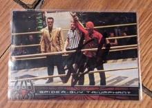 Stan Lee autographed spiderman card with coa sticker
