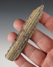 4 1/16" Petrified Wood Knife. Found in the 1950's by Norma Berg in Washington. COO.