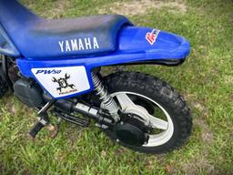 2004 YAMAHA PW50 MINI BIKE