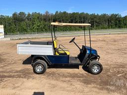 2016 CUSHMAN SN: 2818069