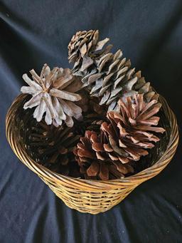 LARGE VINTAGE WOVEN BASKET WITH CURIOUSLY LARGE PINECONES