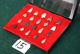 Display Case of 20 Authentic New Mexico Bird Point Arrowhead Artifacts