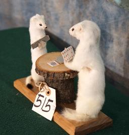 Two White Ermine Playing Poker Novelty Taxidermy Mount