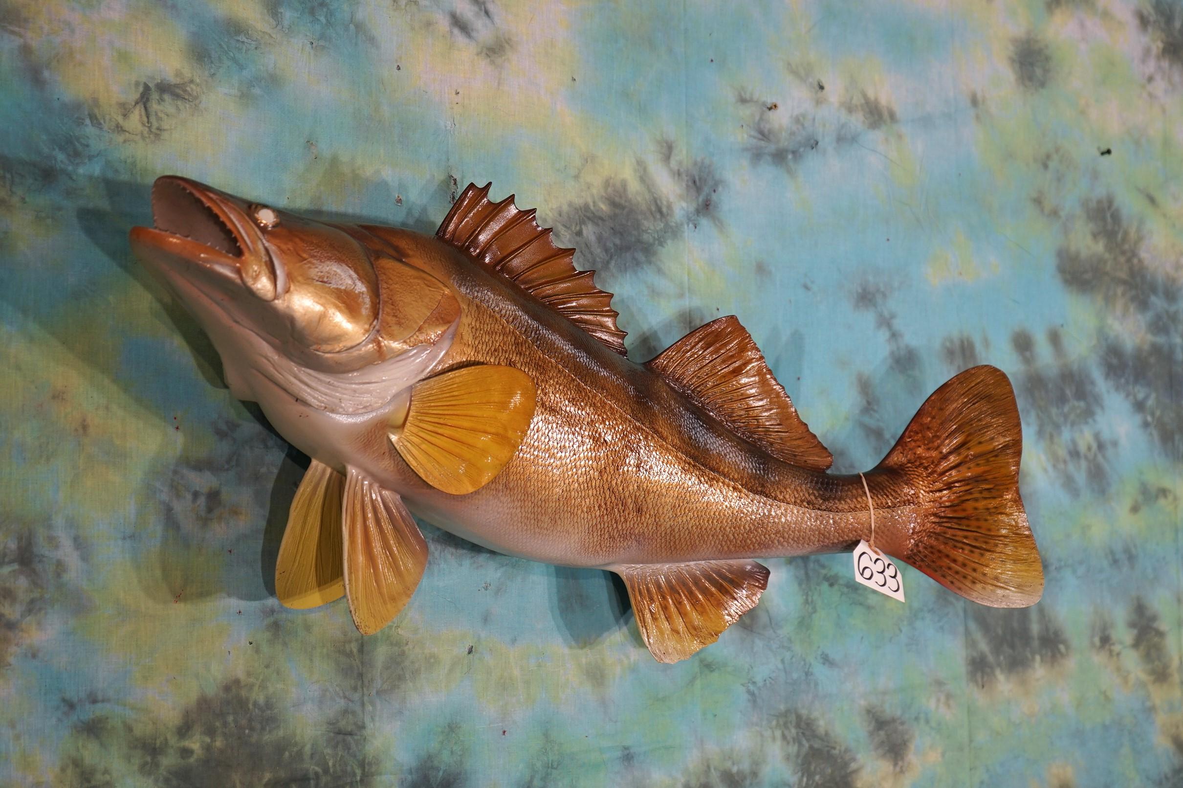 Brand New 35 1/2 Walleye Fiberglass Reproduction Taxidermy Fish Mount