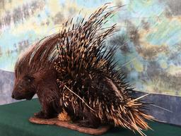 African Porcupine Full Body Taxidermy Mount