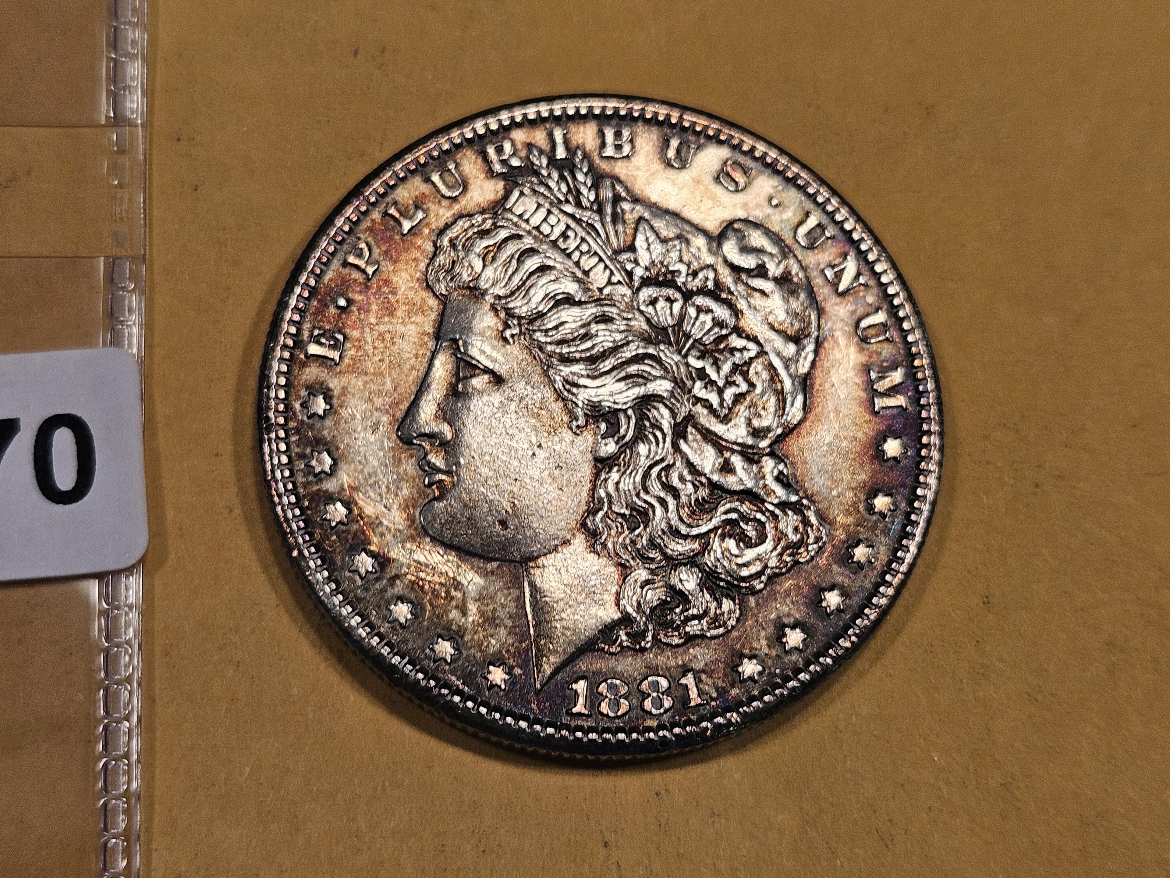 1881-S Morgan Dollar in Uncirculated - details