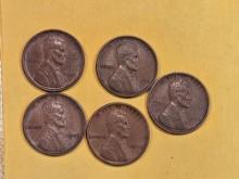 Five First Year issue 1909 VDB-wheat cents