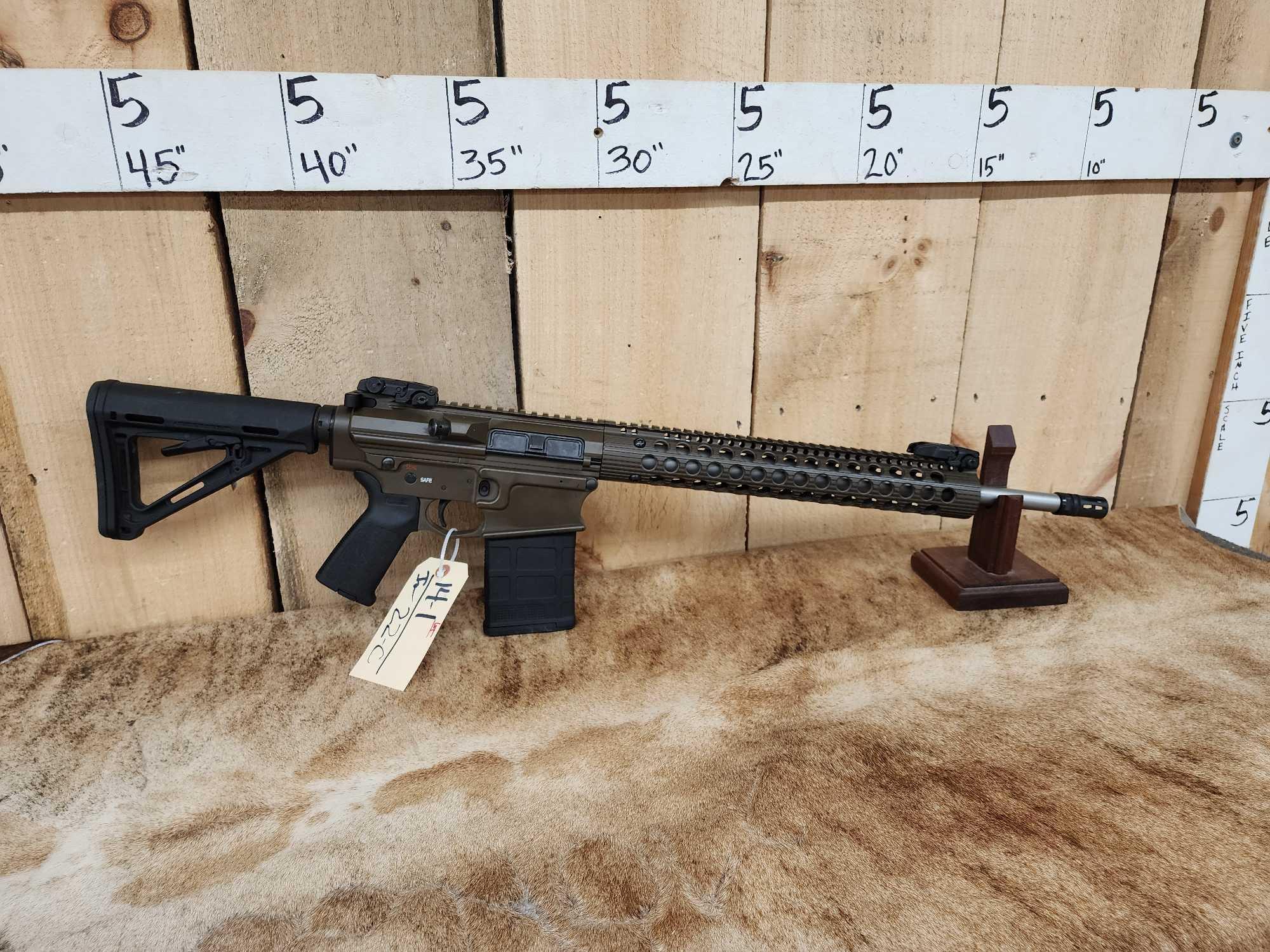 Arizons Armory AA10 .308 Semi Auto Rifle