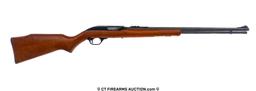 Marlin Glenfield 60 .22 LR Semi Auto Rifle