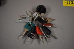 KEY RING SET, SEE PICTURE FOR MAKES & MODEL FITS, JD-TOYOTA-YANMAR-HYSTER-C