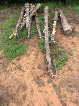 large cedar post