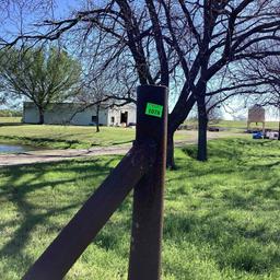 16ft Cattle guard with posts to tie fence off to