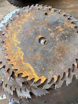 saw blades