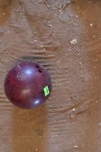 Bowling Ball