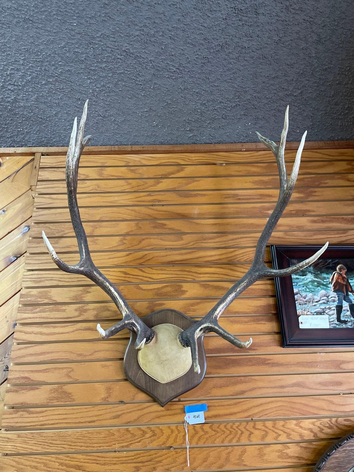 Antler mount