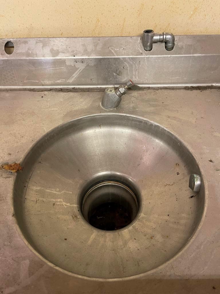 Stainless Steel Sink with Commercial Disposal