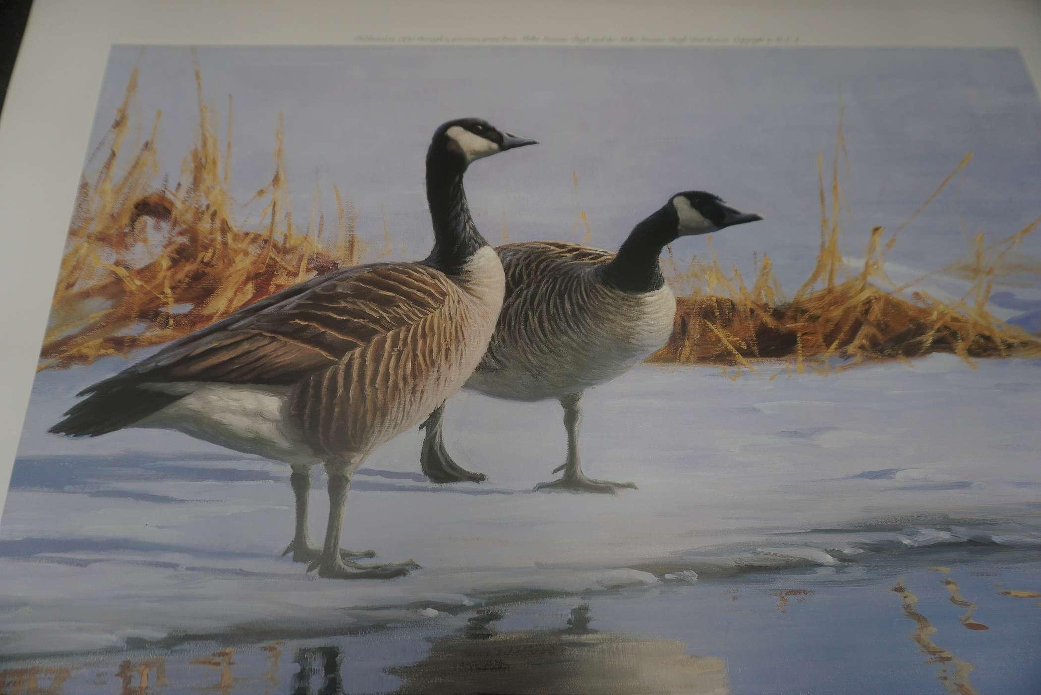 "Early Arrival - Canada Geese" By Gary W. Moss Signed & Numbered 48/1500