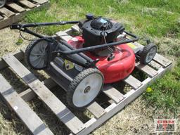 Yard Machine Push Mower (Unknown)