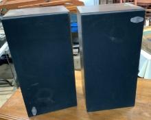 2 Synergistics Tower Speakers