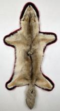 Taxidermy Montana Coyote Rug