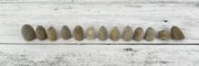 Civil War Union Confederate Battlefield Bullets