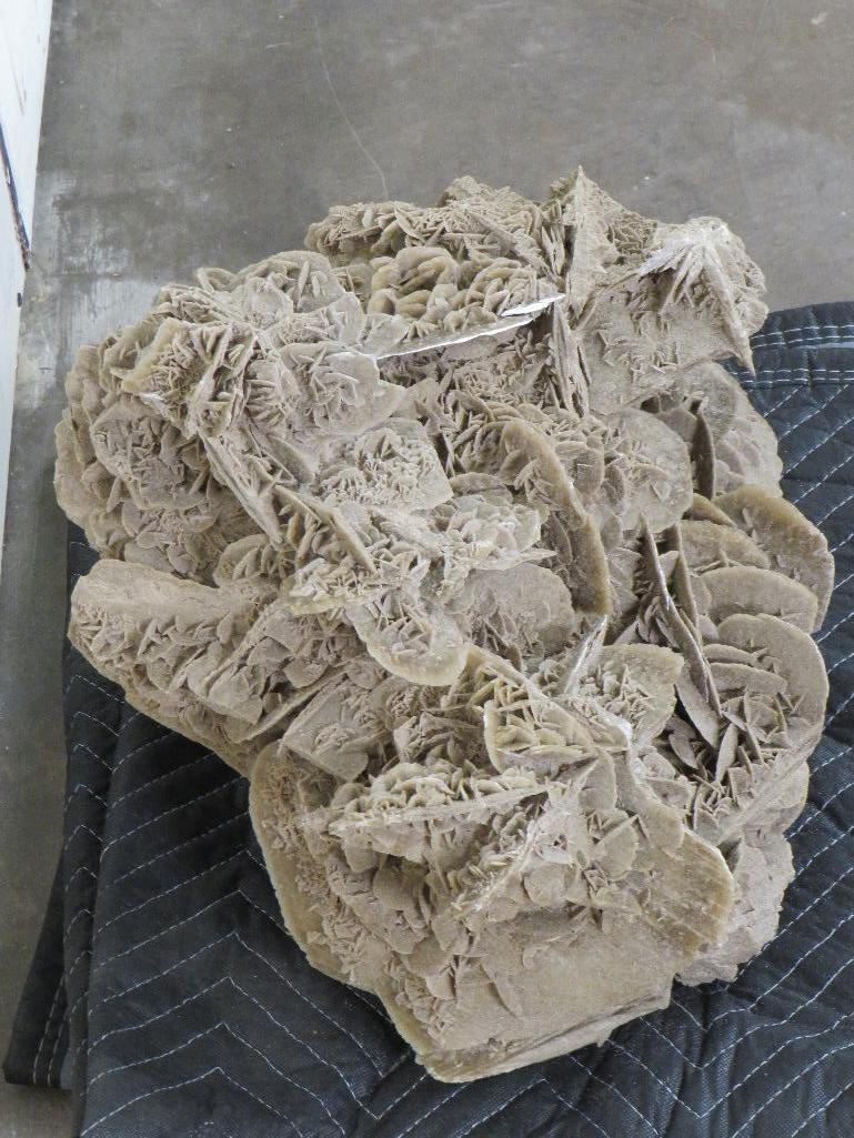 XXL 43LB Desert Rose Gypsum Crystal Formation, Beautiful Specimen CRYSTALS ROCKS&MINERALS