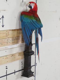 Very Beautiful Lifesize Red&Green Macaw aka Green-Winged Macaw Perched on Ornate Pillar TAXIDERMY