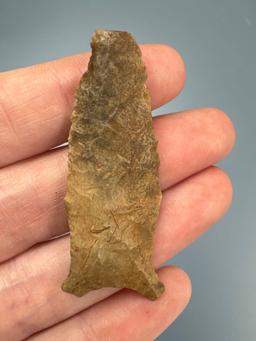 2 1/16" Transitional Paleo Quad, THIN, Heavily Ground Lower Sides/Base, Ex: Shelby Collection