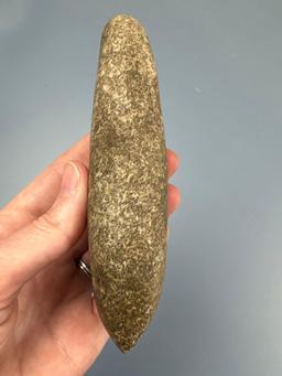 5 1/4" Well-Made Hardstone Celt, Polished Bit, Found in Moorestown, New Jersey