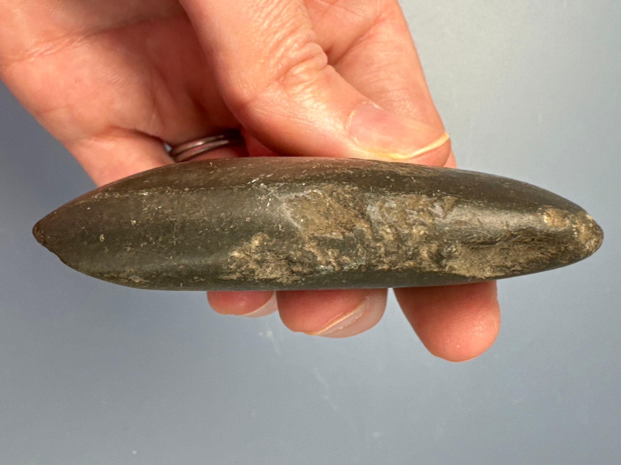 Well-Made 2 3/4" Celt, Heavily Polished Bit, Found in New York