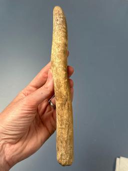 Massive 10 3/4" Antler Tool, Reported to be Found in New York, Perforated Large Hole in Middle