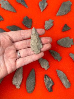 30 Arrowheads, Points Found in Jim Thorpe Area in Pennsylvania, Longest is 2 1/2"