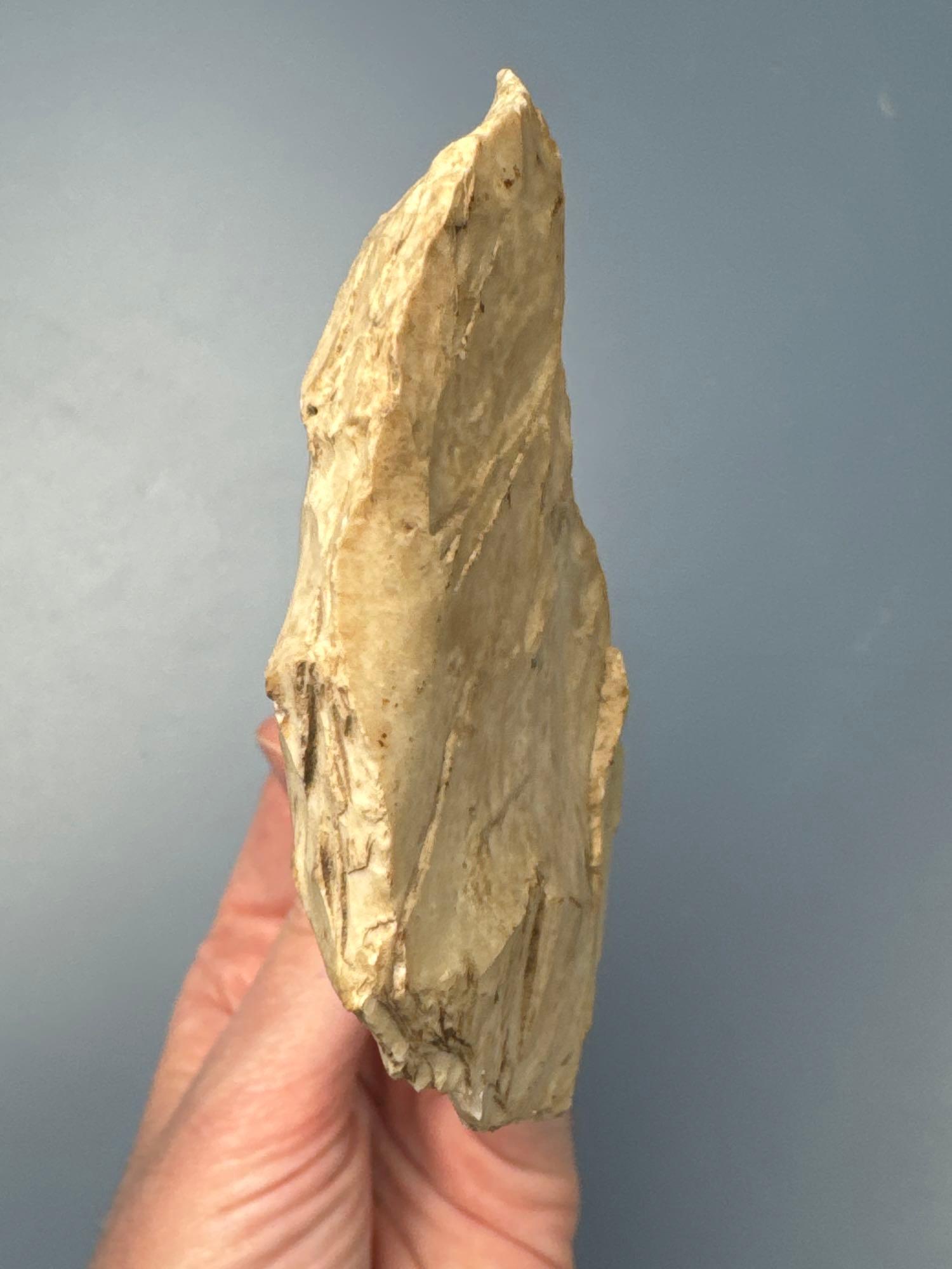 Large 6 1/4" Burlington Chert Biface, Found in Illinois, Ex: Cicero Collection