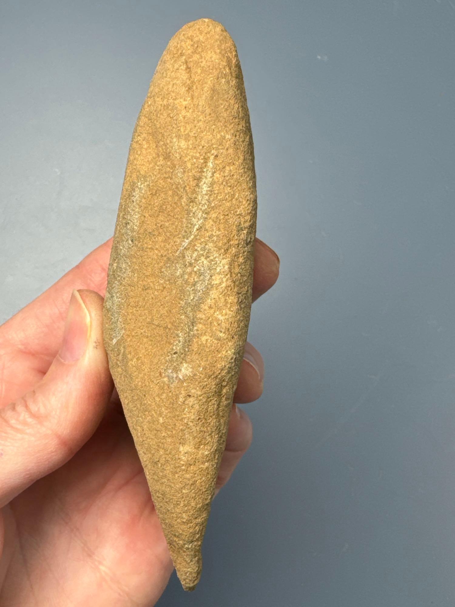 Rare 4 1/2" Knobbed Adze, Found by Lee Gibson on 3/20 in Columbus, Burlington Co., New Jersey